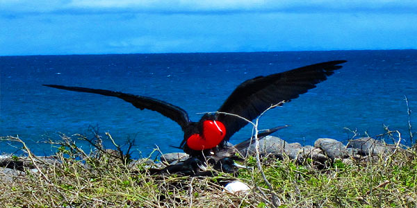 Galapagos Islands for visitors